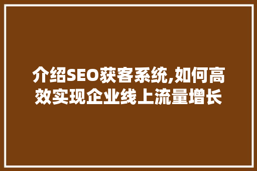 介绍SEO获客系统,如何高效实现企业线上流量增长