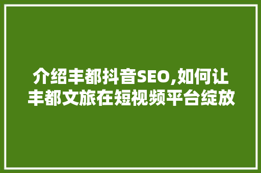 介绍丰都抖音SEO,如何让丰都文旅在短视频平台绽放光彩