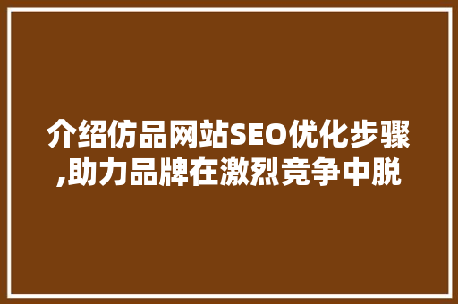 介绍仿品网站SEO优化步骤,助力品牌在激烈竞争中脱颖而出