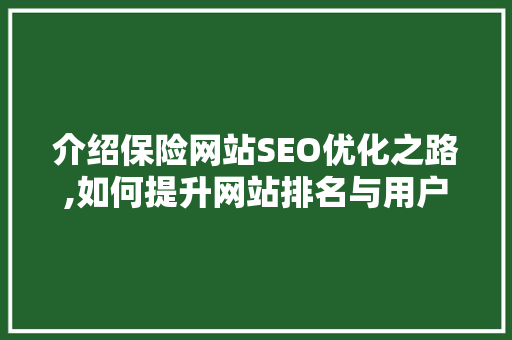 介绍保险网站SEO优化之路,如何提升网站排名与用户体验