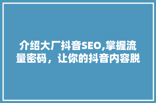 介绍大厂抖音SEO,掌握流量密码，让你的抖音内容脱颖而出