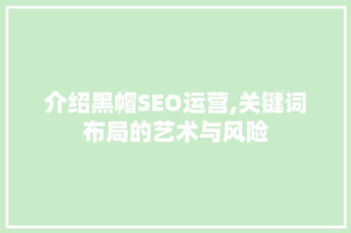 介绍黑帽SEO运营,关键词布局的艺术与风险