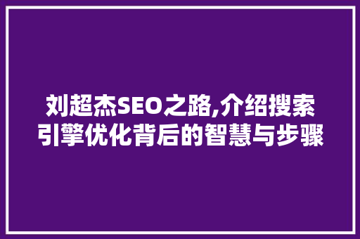刘超杰SEO之路,介绍搜索引擎优化背后的智慧与步骤