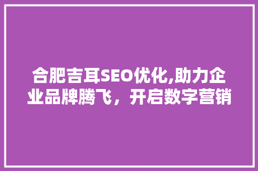 合肥吉耳SEO优化,助力企业品牌腾飞，开启数字营销新篇章  第1张