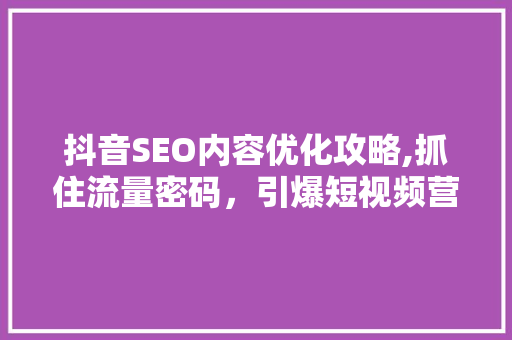 抖音SEO内容优化攻略,抓住流量密码，引爆短视频营销