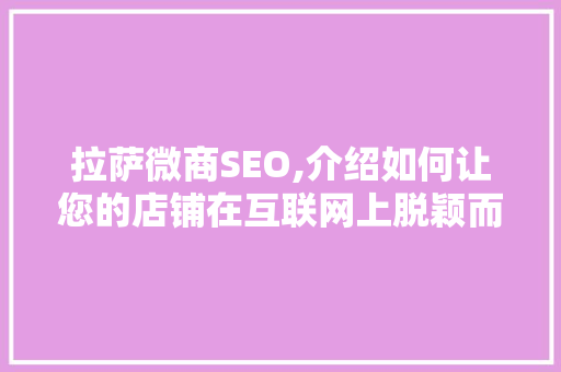 拉萨微商SEO,介绍如何让您的店铺在互联网上脱颖而出