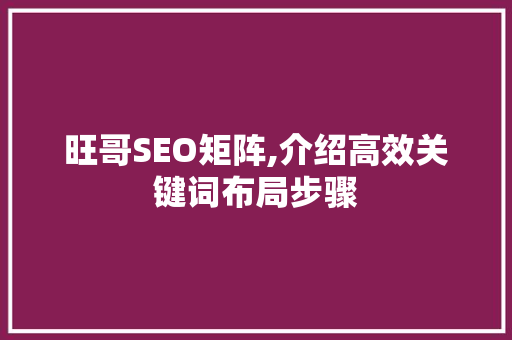 旺哥SEO矩阵,介绍高效关键词布局步骤