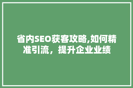 省内SEO获客攻略,如何精准引流，提升企业业绩