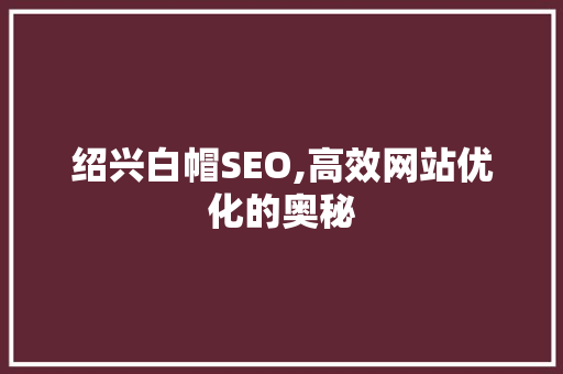 绍兴白帽SEO,高效网站优化的奥秘