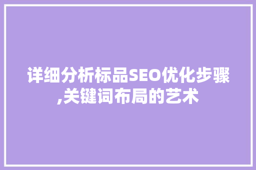 详细分析标品SEO优化步骤,关键词布局的艺术