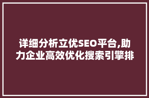 详细分析立优SEO平台,助力企业高效优化搜索引擎排名
