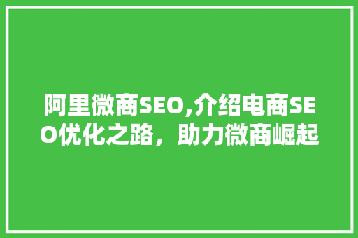 阿里微商SEO,介绍电商SEO优化之路，助力微商崛起