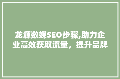 龙源数媒SEO步骤,助力企业高效获取流量，提升品牌影响力