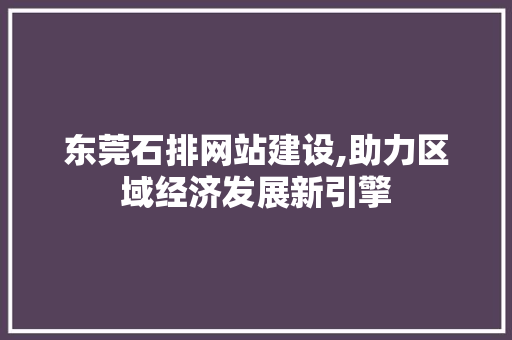 东莞石排网站建设,助力区域经济发展新引擎