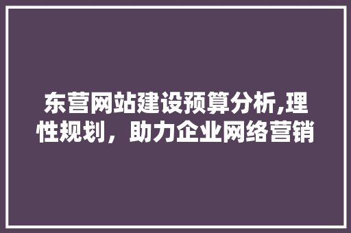 东营网站建设预算分析,理性规划，助力企业网络营销