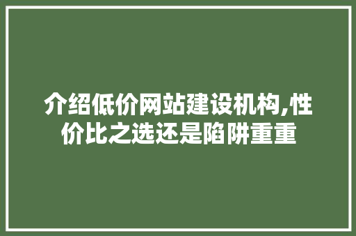 介绍低价网站建设机构,性价比之选还是陷阱重重