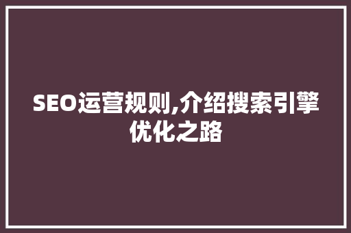 SEO运营规则,介绍搜索引擎优化之路