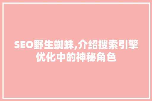SEO野生蜘蛛,介绍搜索引擎优化中的神秘角色