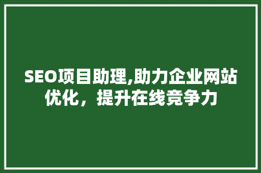 SEO项目助理,助力企业网站优化，提升在线竞争力
