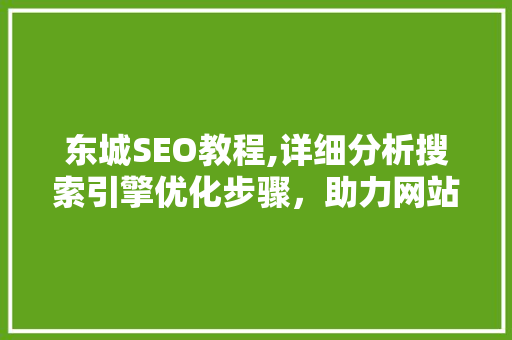 东城SEO教程,详细分析搜索引擎优化步骤，助力网站排名提升