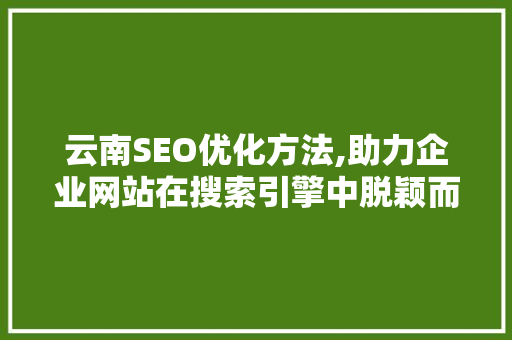 云南SEO优化方法,助力企业网站在搜索引擎中脱颖而出