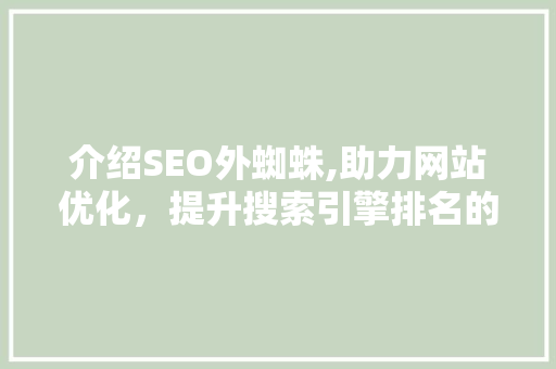 介绍SEO外蜘蛛,助力网站优化，提升搜索引擎排名的神秘力量