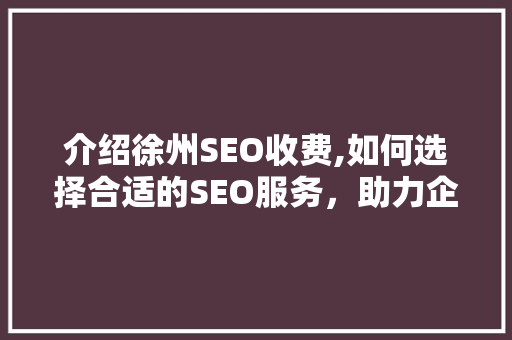 介绍徐州SEO收费,如何选择合适的SEO服务，助力企业网络营销