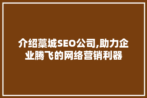 介绍藁城SEO公司,助力企业腾飞的网络营销利器