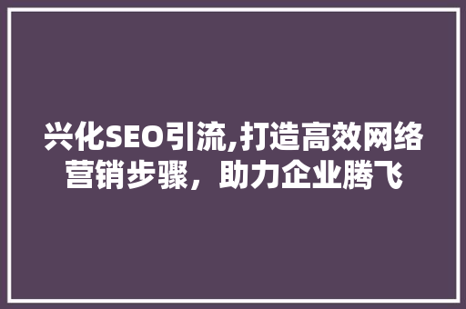 兴化SEO引流,打造高效网络营销步骤，助力企业腾飞