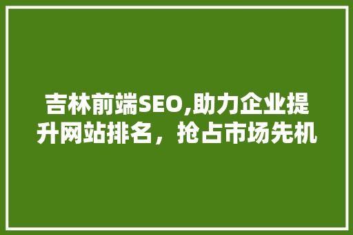 吉林前端SEO,助力企业提升网站排名，抢占市场先机