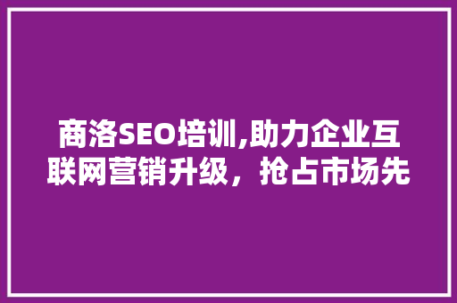 商洛SEO培训,助力企业互联网营销升级，抢占市场先机