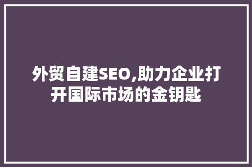 外贸自建SEO,助力企业打开国际市场的金钥匙