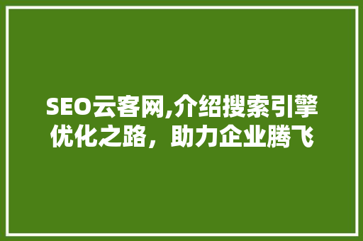 SEO云客网,介绍搜索引擎优化之路，助力企业腾飞