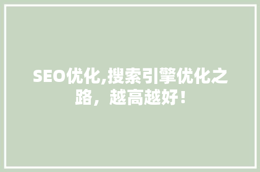 SEO优化,搜索引擎优化之路，越高越好！