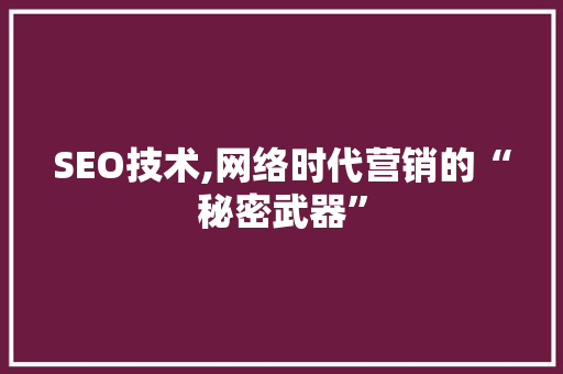 SEO技术,网络时代营销的“秘密武器”