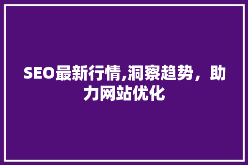 SEO最新行情,洞察趋势，助力网站优化
