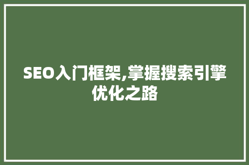 SEO入门框架,掌握搜索引擎优化之路