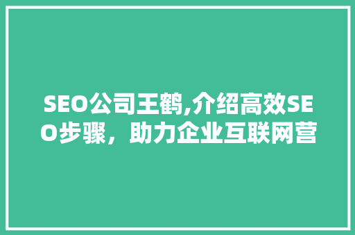 SEO公司王鹤,介绍高效SEO步骤，助力企业互联网营销