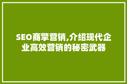 SEO商擎营销,介绍现代企业高效营销的秘密武器
