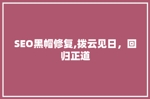 SEO黑帽修复,拨云见日，回归正道