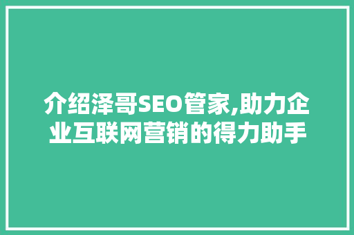 介绍泽哥SEO管家,助力企业互联网营销的得力助手