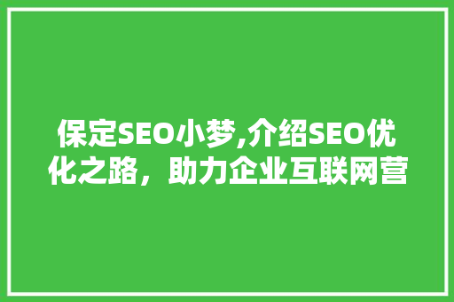 保定SEO小梦,介绍SEO优化之路，助力企业互联网营销
