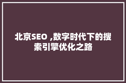 北京SEO ,数字时代下的搜索引擎优化之路