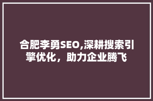 合肥李勇SEO,深耕搜索引擎优化，助力企业腾飞