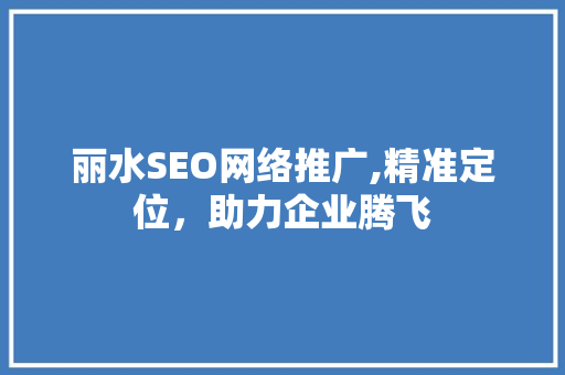 丽水SEO网络推广,精准定位，助力企业腾飞