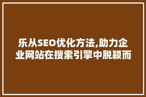 乐从SEO优化方法,助力企业网站在搜索引擎中脱颖而出