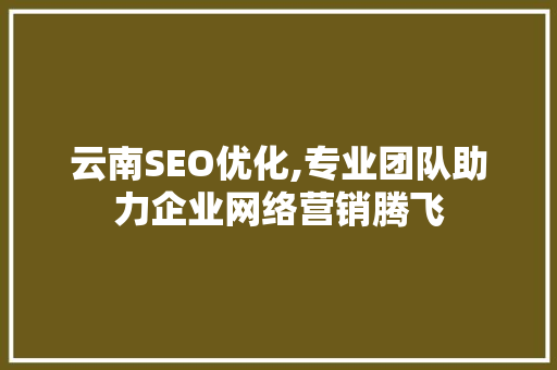 云南SEO优化,专业团队助力企业网络营销腾飞