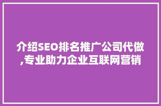 介绍SEO排名推广公司代做,专业助力企业互联网营销新篇章