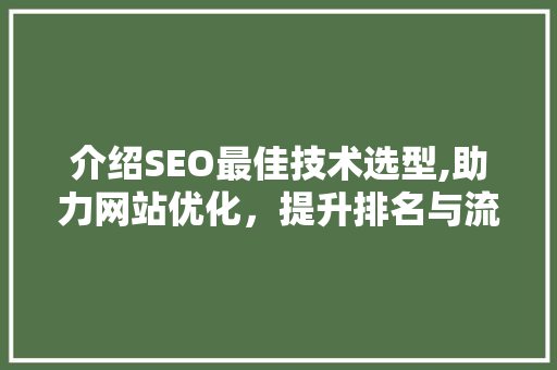 介绍SEO最佳技术选型,助力网站优化，提升排名与流量