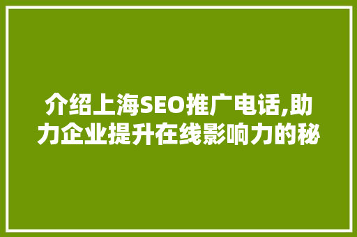 介绍上海SEO推广电话,助力企业提升在线影响力的秘密武器